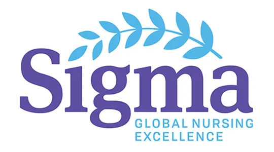sigma-300